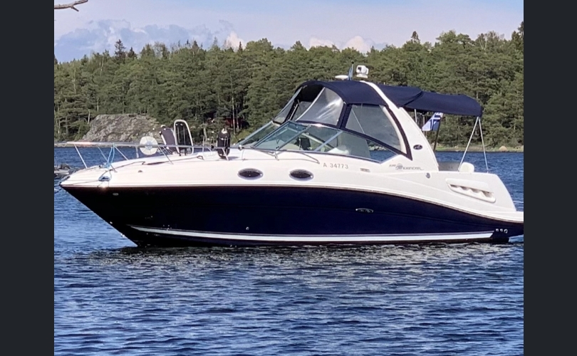 Sea Ray 275-kuva-1